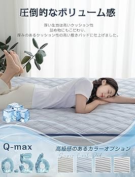 【美品　粘着パッド新品付】BRILLIANT WAVE ブリリアントウェーブパッド | PRODUCTS｜Partir（パルティール
